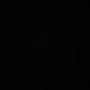 Meet your Posher, Macey